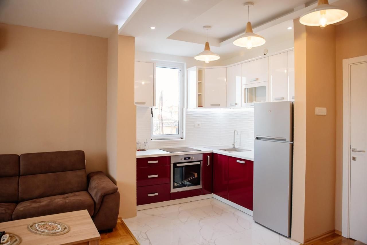 Апартаменты Explorer Podgorica Подгорица-8