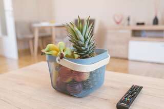 Апартаменты Explorer Podgorica Подгорица Апартаменты Делюкс-15