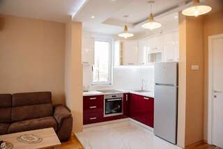 Апартаменты Explorer Podgorica Подгорица Апартаменты Делюкс-1