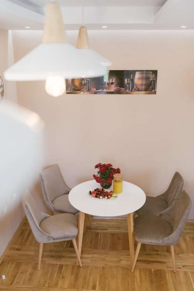 Апартаменты Explorer Podgorica Подгорица-29