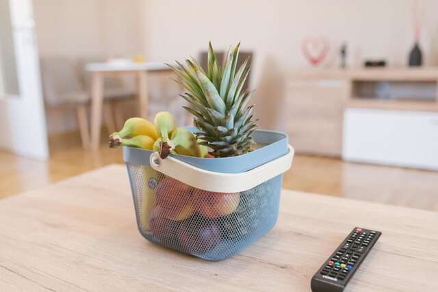 Апартаменты Explorer Podgorica Подгорица-33