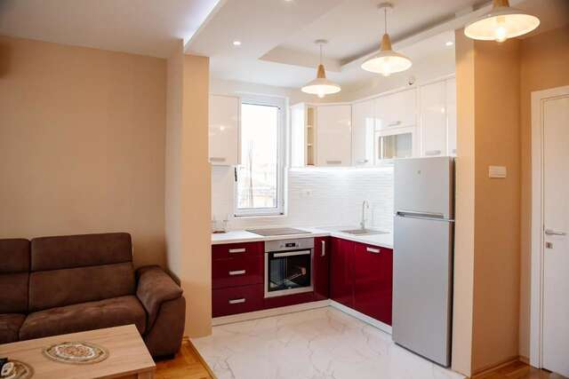 Апартаменты Explorer Podgorica Подгорица-7